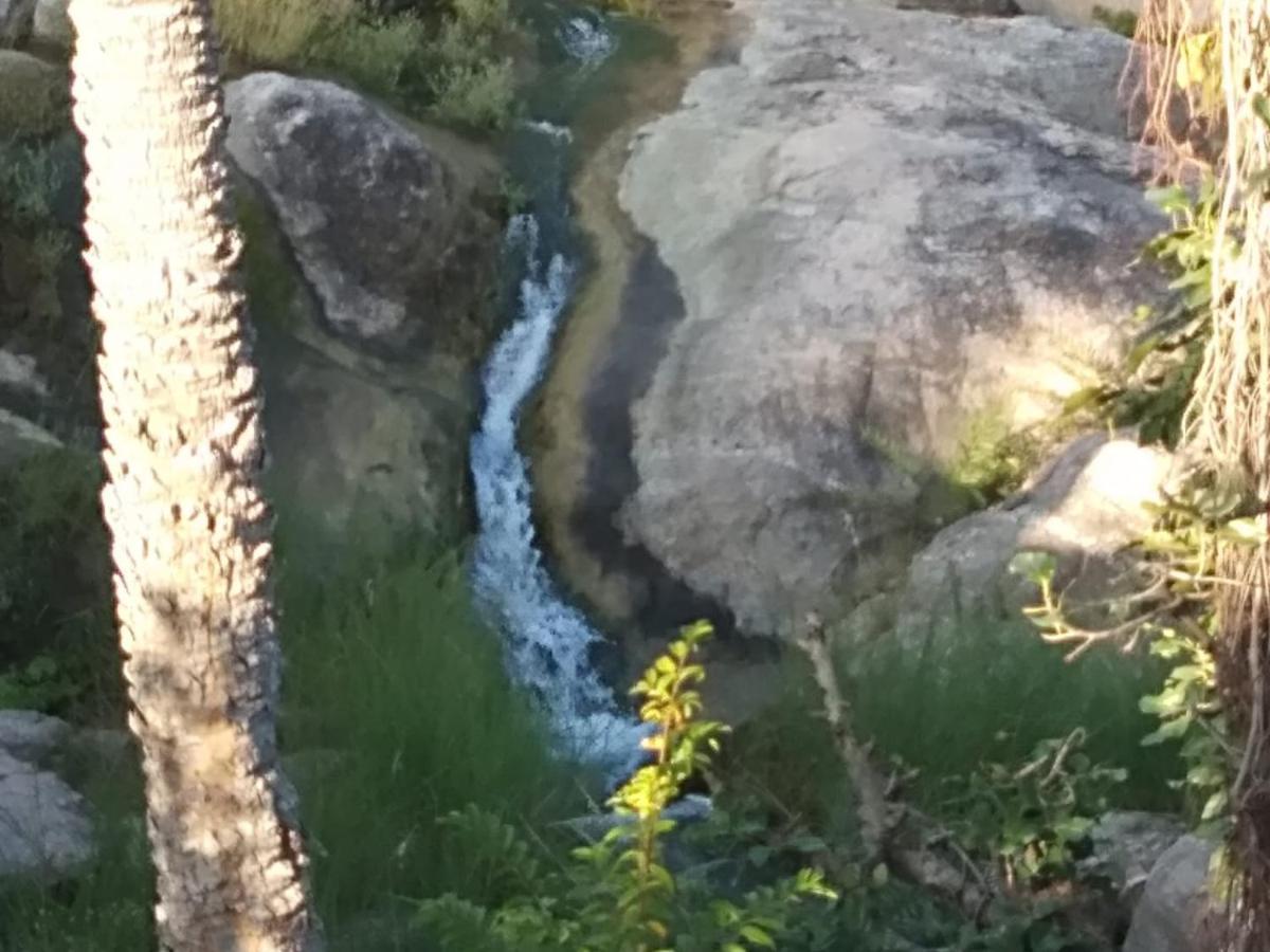 Resort Jungle Camp Kumbhalgarh 3*