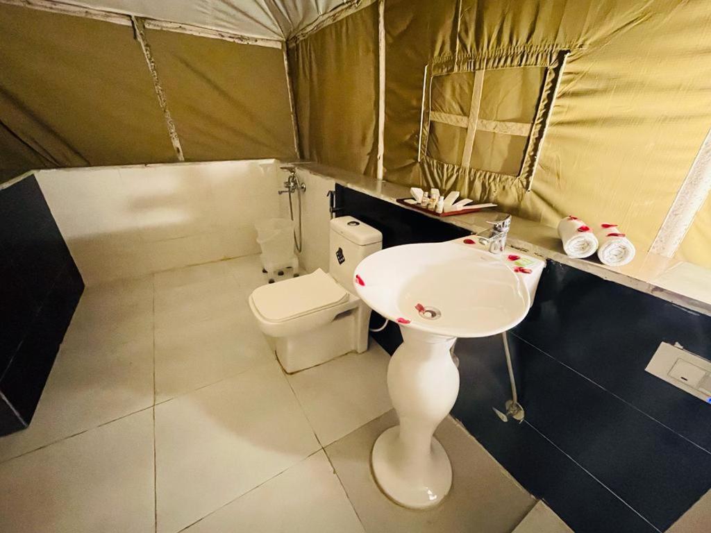 Hotel Jungle Journey- A *