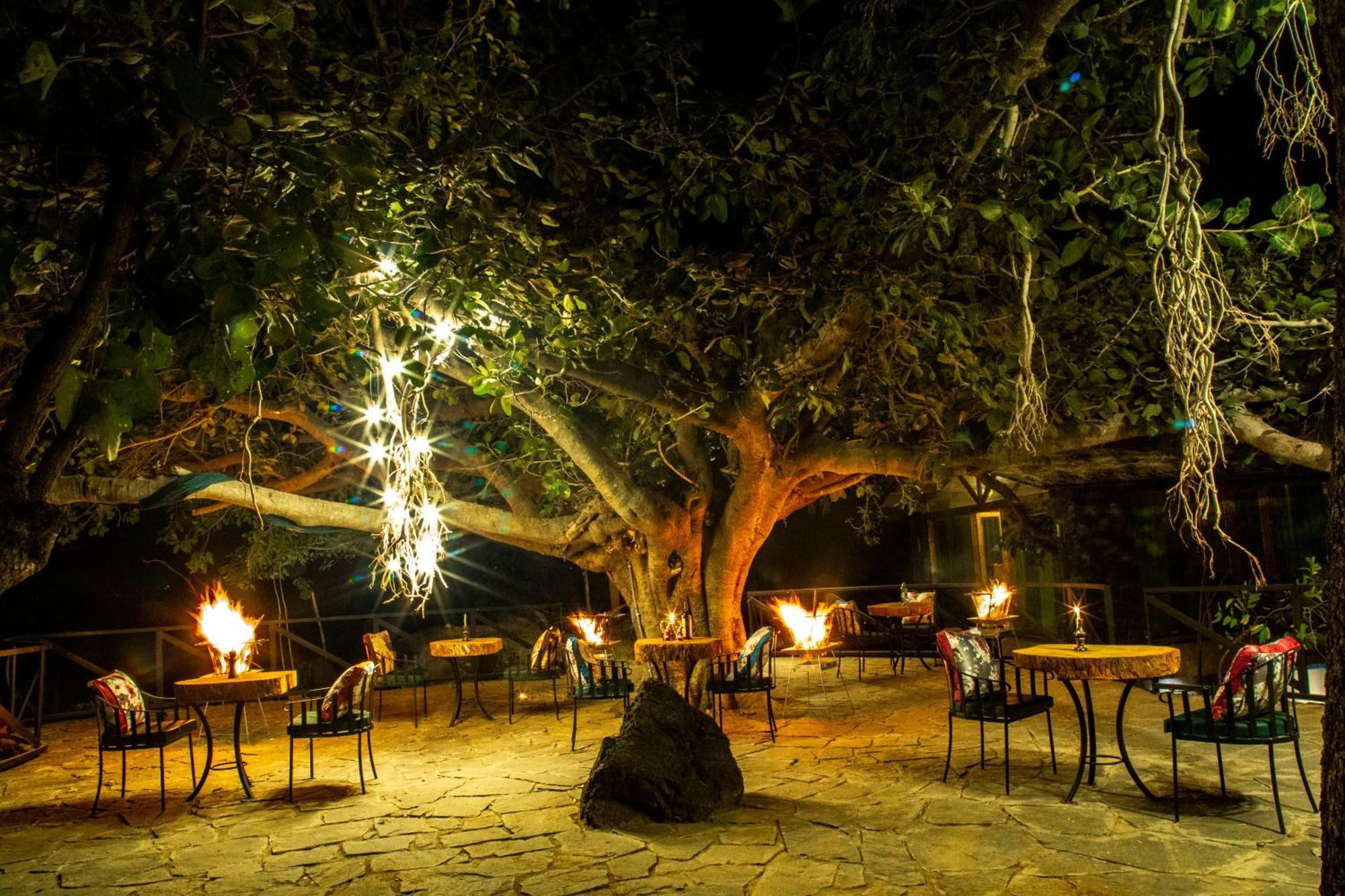 Resort Bella Basera Kumbhalgarh