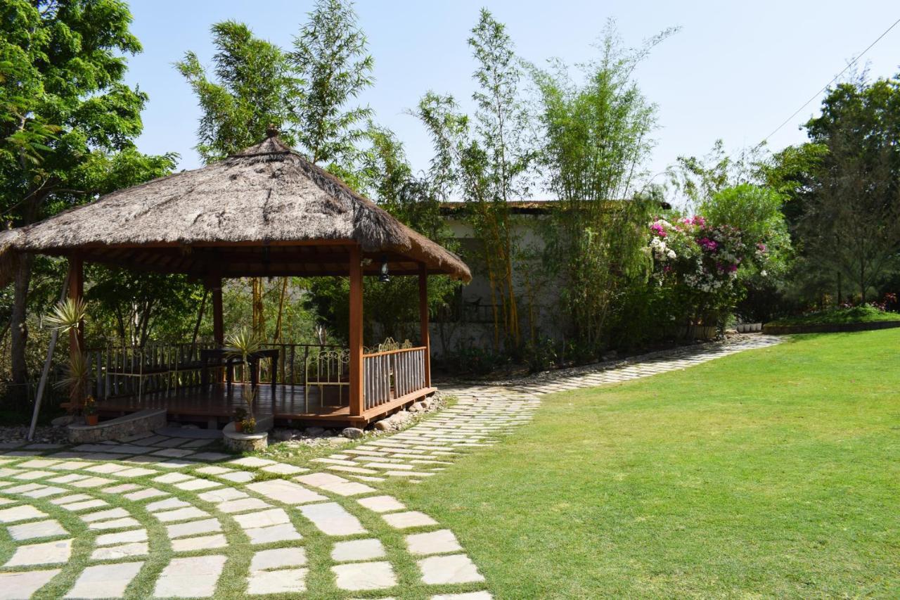 Forest Retreat
