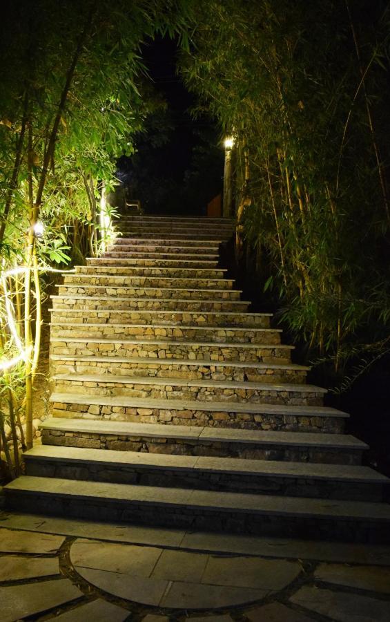 Resort Forest Retreat