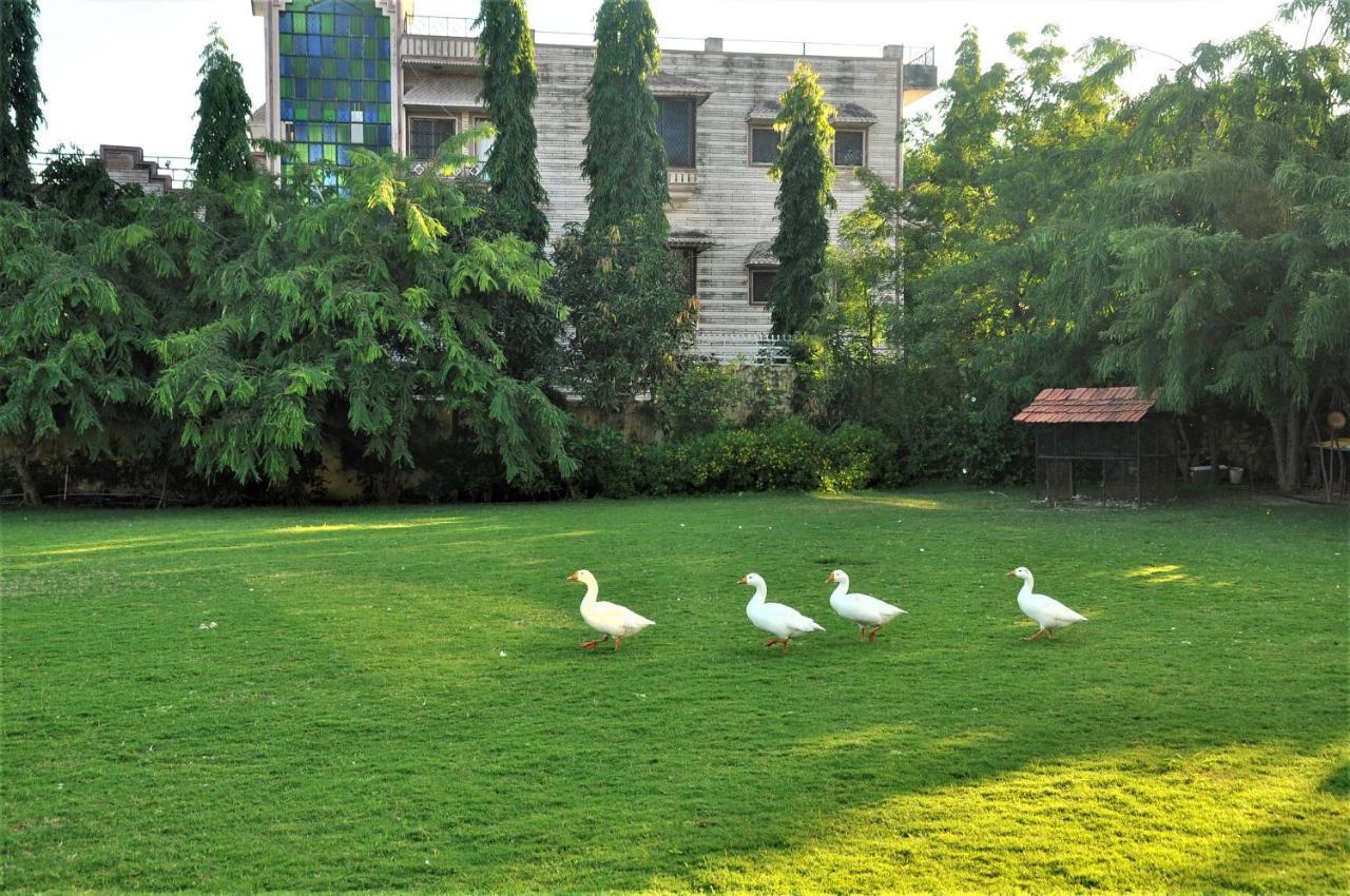 Alcor Kumbhalgarh