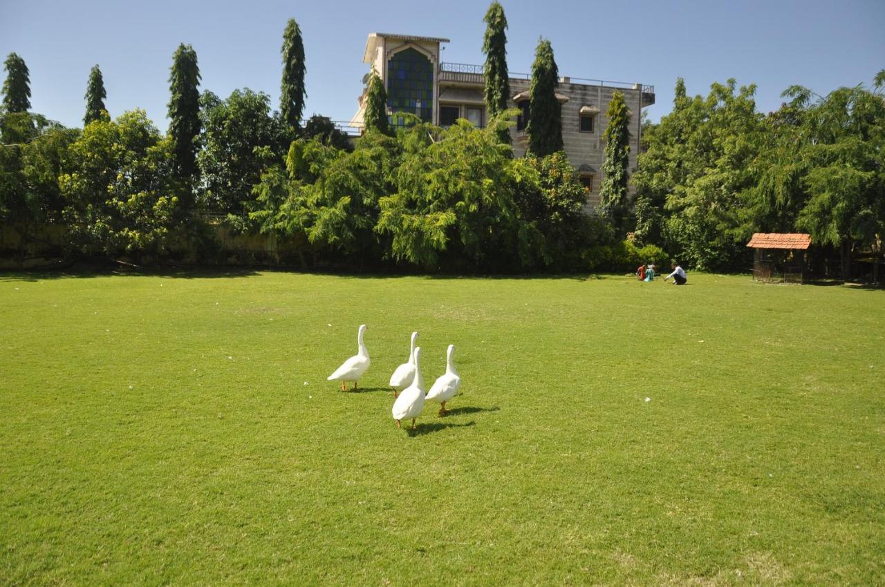 Resort Alcor 4*