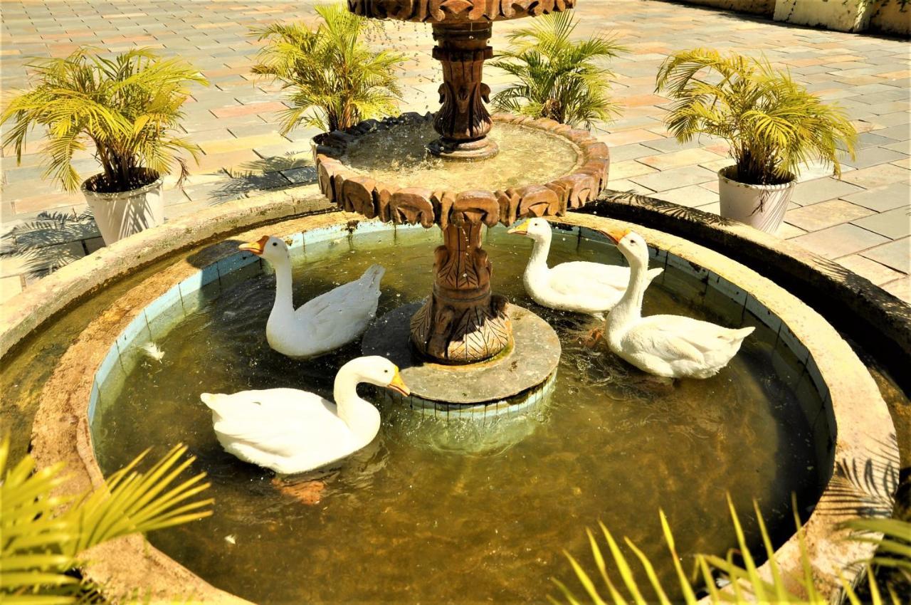 Alcor 4* Kumbhalgarh
