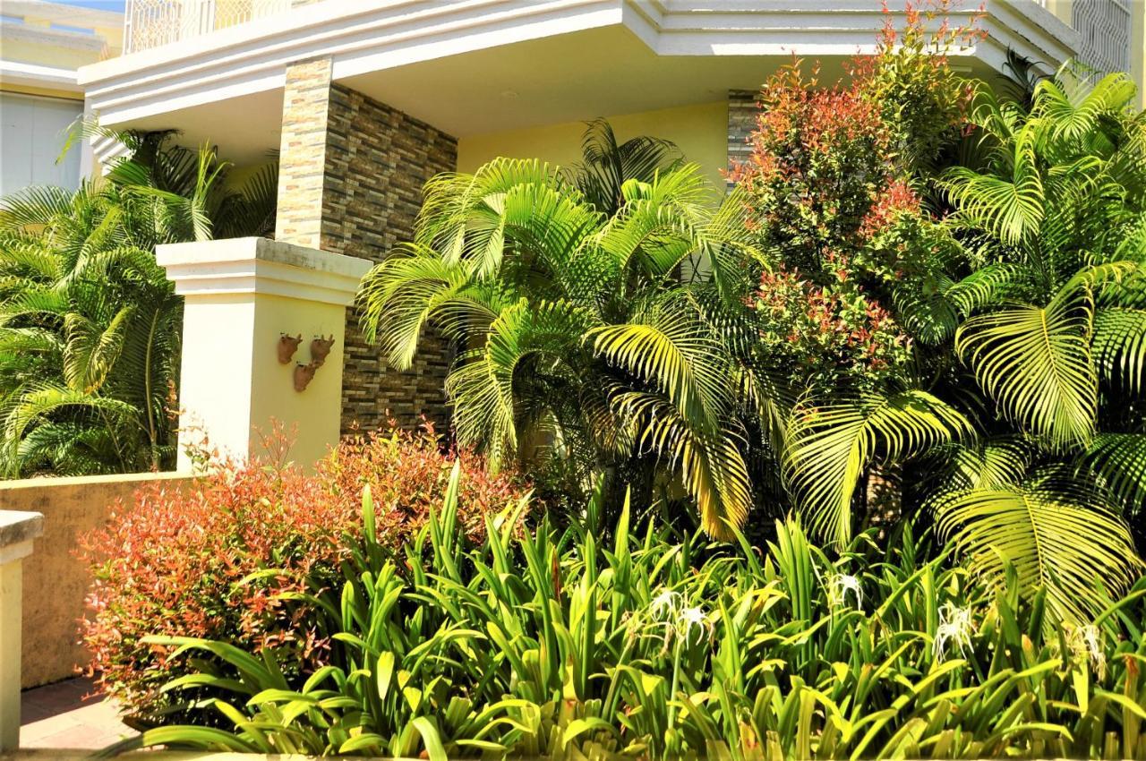Alcor Kumbhalgarh